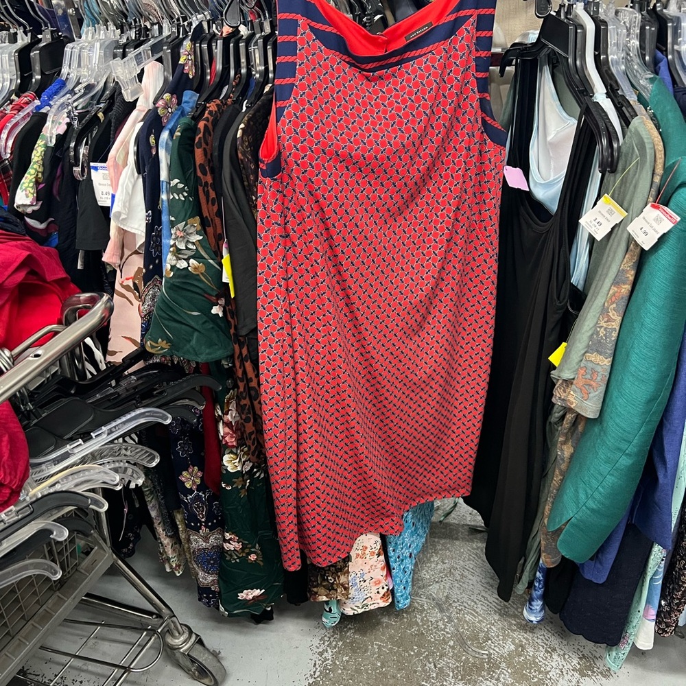 Ann Taylor Red and Blue Patterned knee-Length Dress